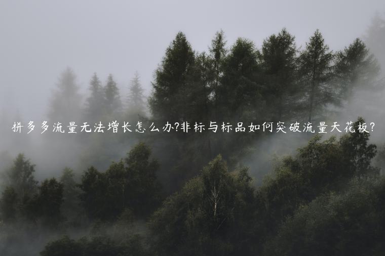 拼多多流量無(wú)法增長(zhǎng)怎么辦?非標(biāo)與標(biāo)品如何突破流量天花板?